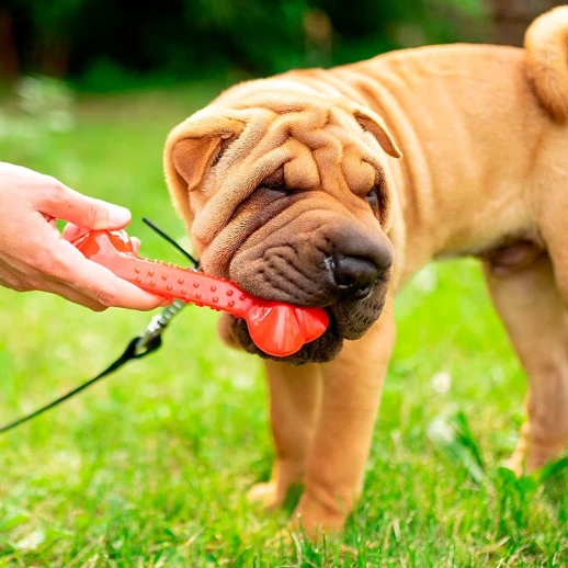 Игрушка-косточка для собак Ferplast PA6486 Large полиуретановая