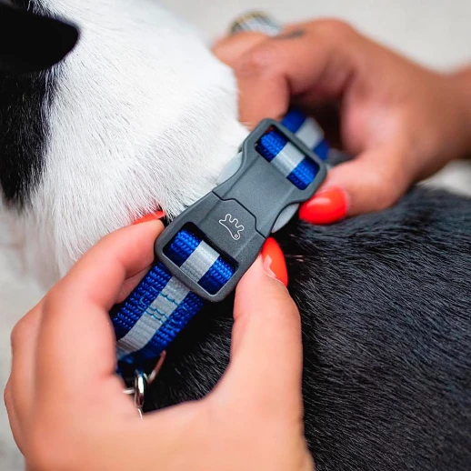 Ошейник Ferplast CLUB REFLEX С20/56 с магнитной застёжкой светоотражающий чёрный