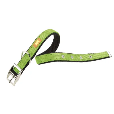 Ошейник Ferplast DUAL CF20/43 COLOURS двойной зеленый