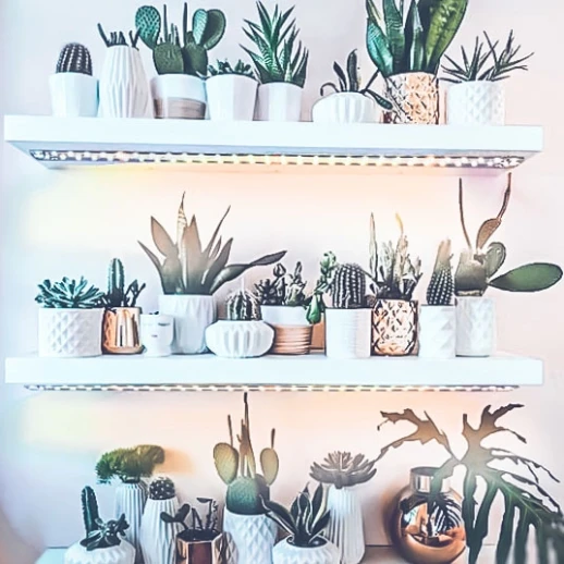 Модуль Цветонос 2.4.a - Цветение и Плодоношение. Белый свет.