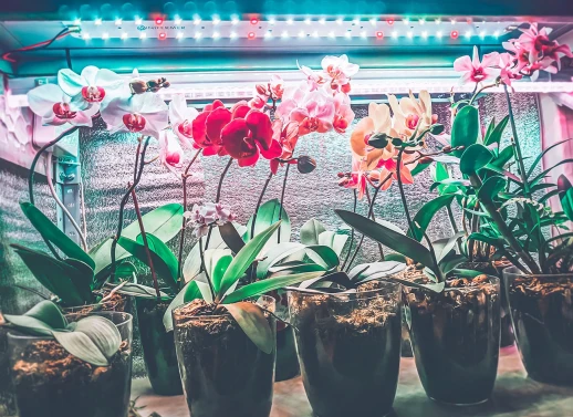 Модуль Фулл Комфорт mix 2.4.h - Универсальный. Белый свет.