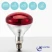 Лампа инфракрасная JK Lighting 150 Bт E27 R125 закаленное стекло красная