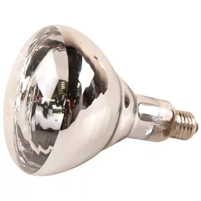 Лампа инфракрасная JK Lighting 175 Bт, E27 R125, закаленное стекло, прозрачная