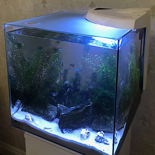 Крышка для аквариума Newa More NMO 20, стекло