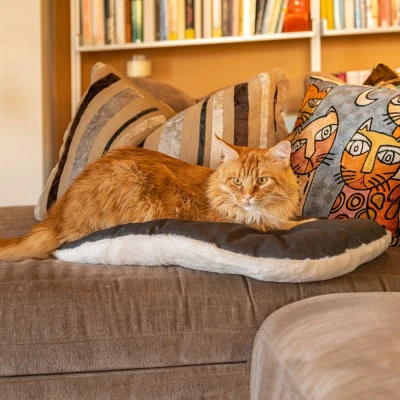 Подушка мягкая Ferplast RELAX 65/6F для собак и кошек Черный с белым мехом