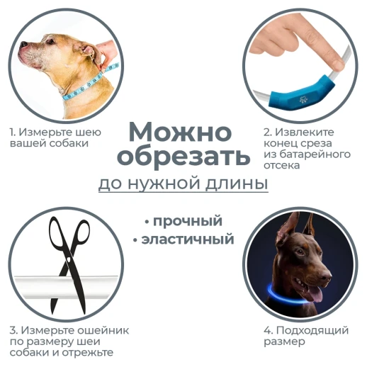 Ошейник светящийся светодиодный для собак с USB зарядкой 55 см прозрачный с синим