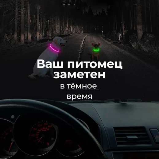 Ошейник светящийся светодиодный для собак с USB зарядкой 55 см прозрачный с синим