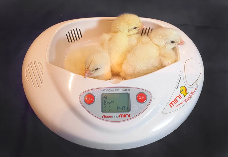 Инкубатор Rcom MINI PRO