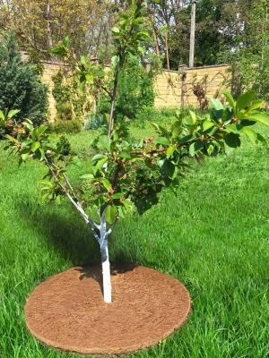 Кокосовый круг приствольный Мульчаграм 75 см 5 шт