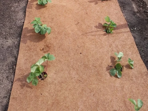 Кокосовый круг приствольный Мульчаграм 75 см 5 шт