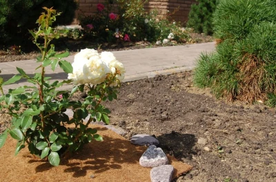 Кокосовый круг приствольный Мульчаграм 75 см 5 шт