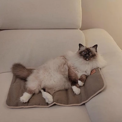 Подстилка Ferplast LOGAN 70 коричневая