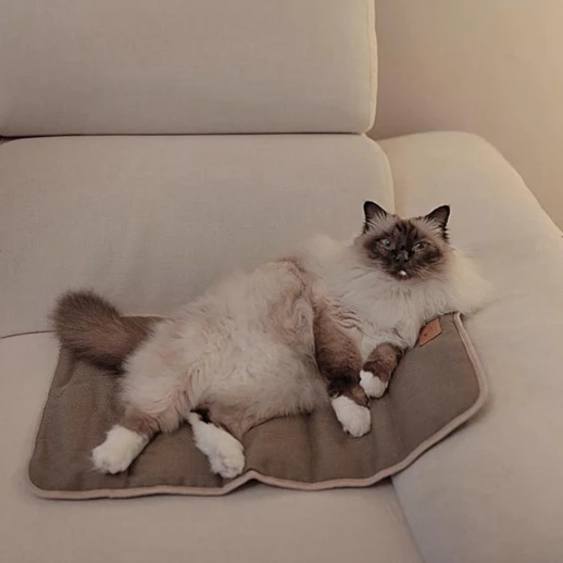 Подстилка Ferplast LOGAN 70 коричневая