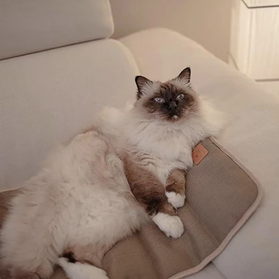 Подстилка Ferplast LOGAN 70 коричневая