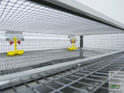 Клетка для 50 перепелов Гранд Престиж