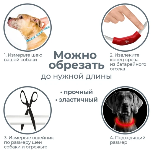 Ошейник светящийся светодиодный для собак с USB зарядкой 55 см прозрачный с красным