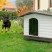 Дверь для будки Ferplast DOGVILLA 70