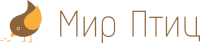 Мир Птиц